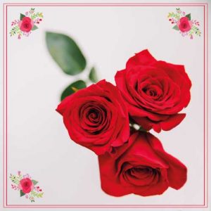 Rosas rojas