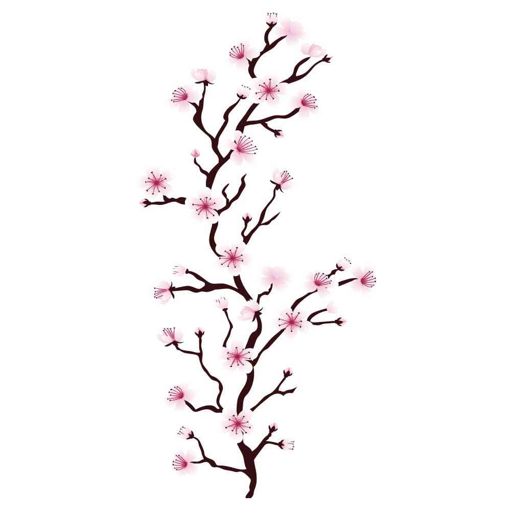 Cerezo japonés - Imagen 2