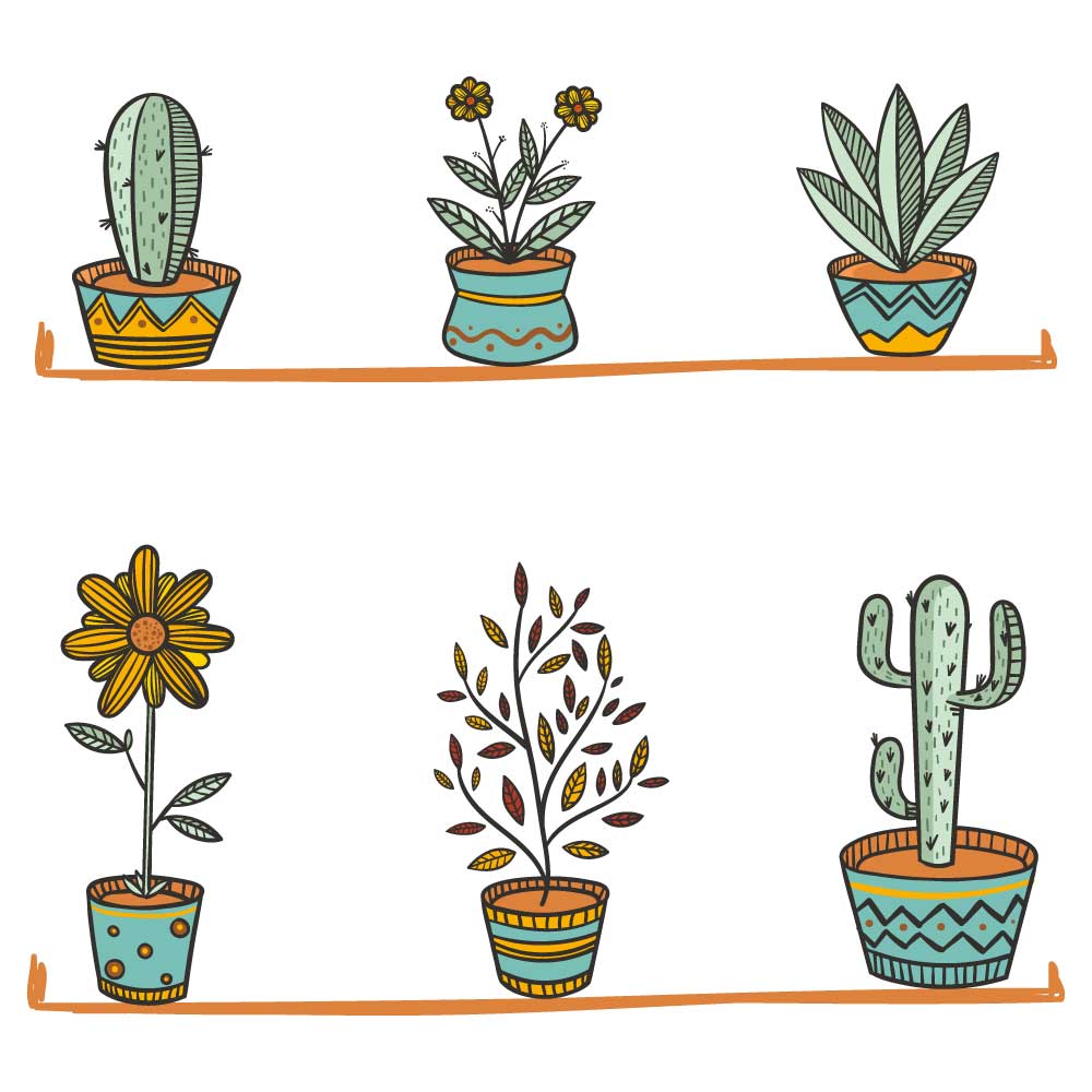 Estantes con plantas - Imagen 2