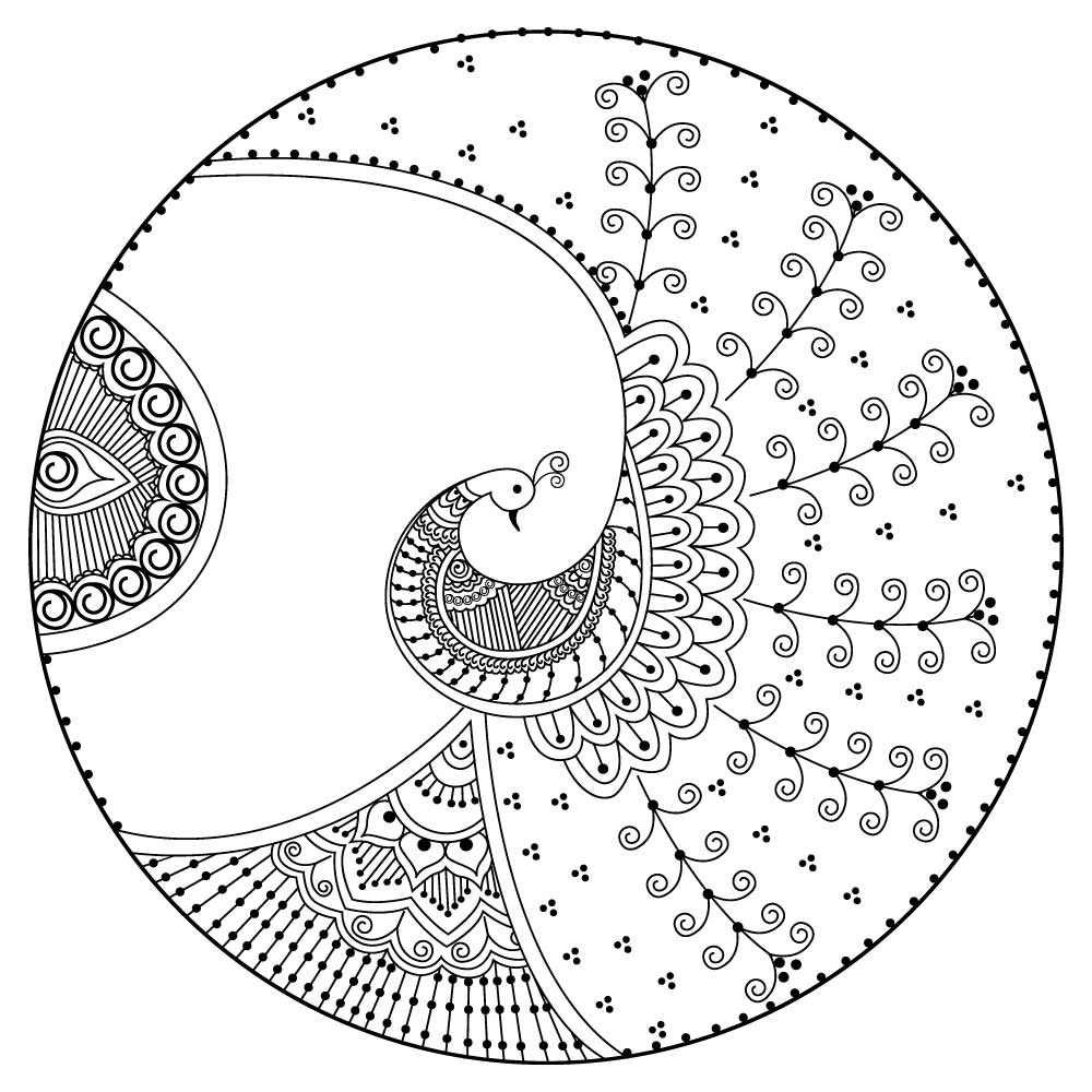 Pavo real - Imagen 2