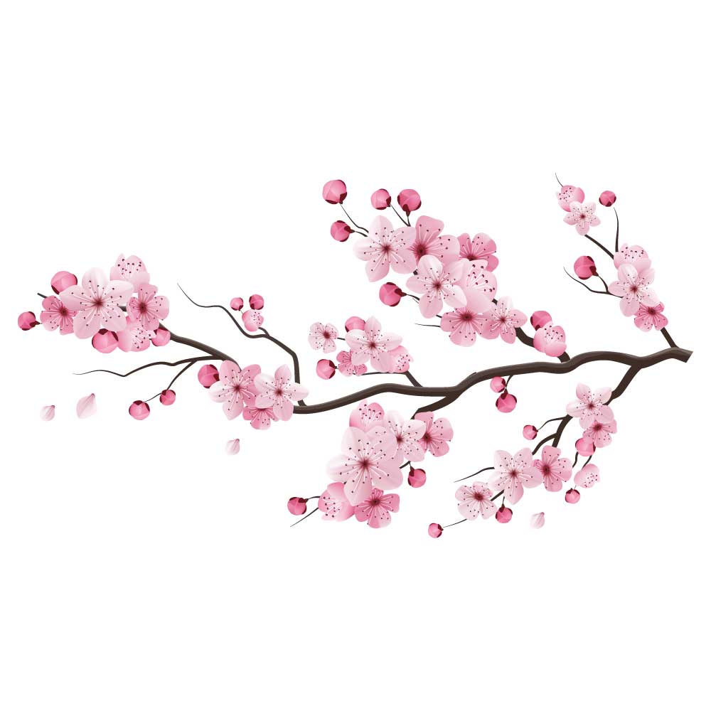 Cerezo japonés - Imagen 2