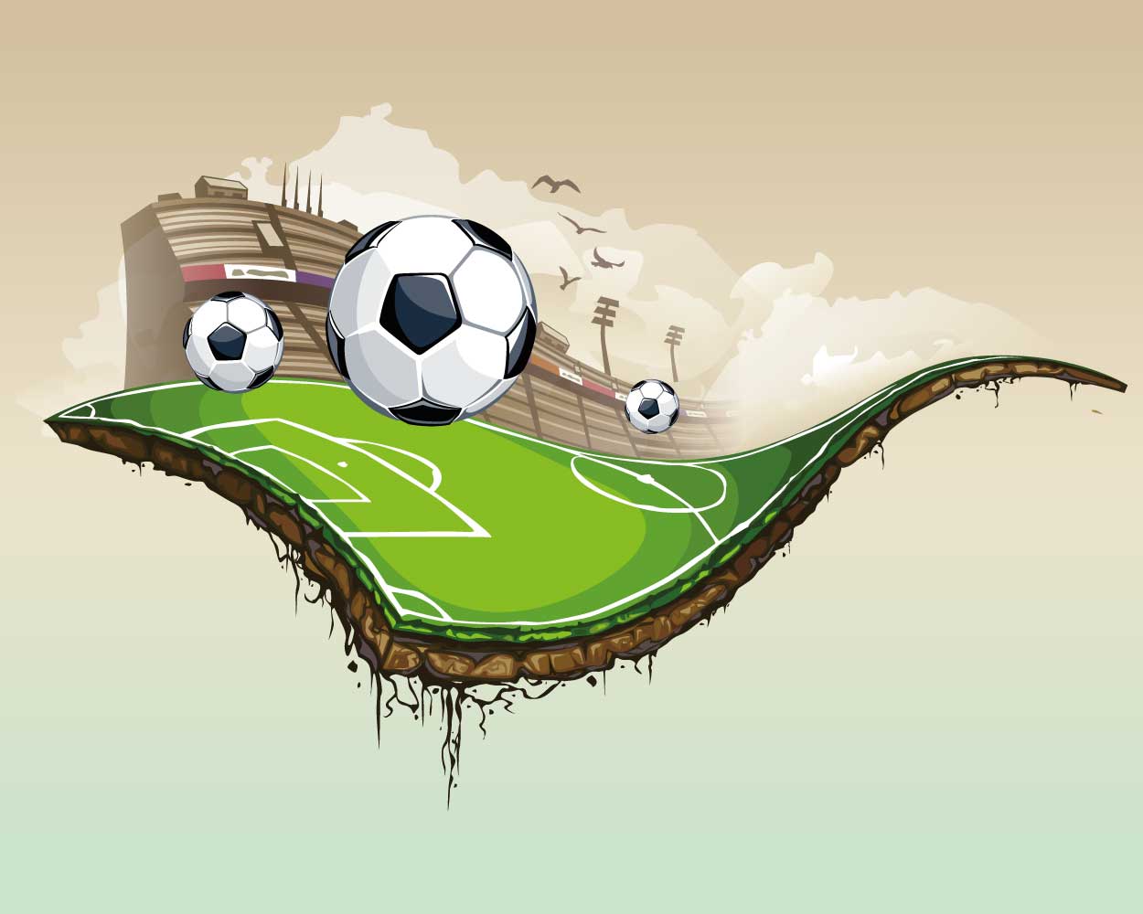 Fútbol en la cancha - Imagen 2