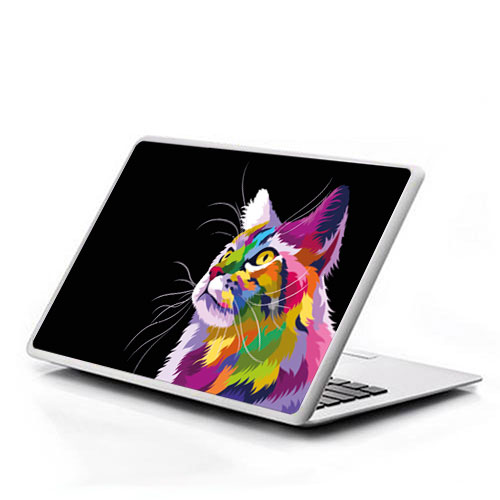 Gato multicolor
